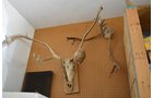 Property photo 30 - Personal Property Auction, Tractor & Implements, Cars, Lawn & Garden, Hunting & Fishing, Guns, Antiques & Collectibles, Household